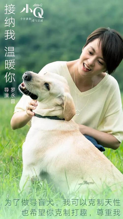 高中毕业证补办需要什么手续